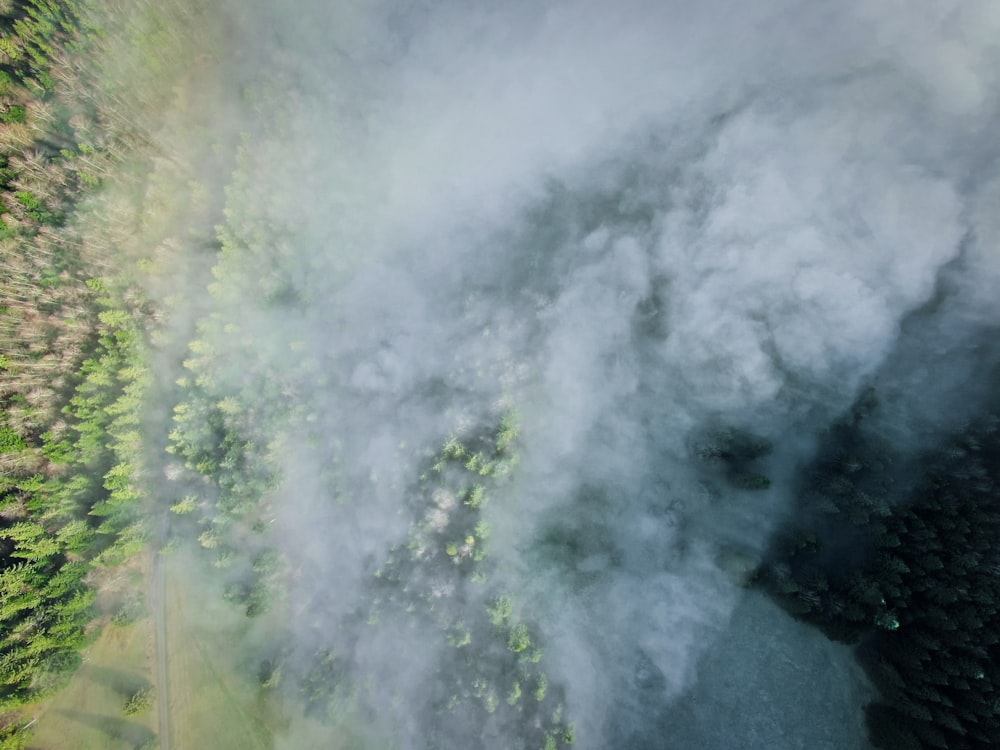 high angle photography of forest