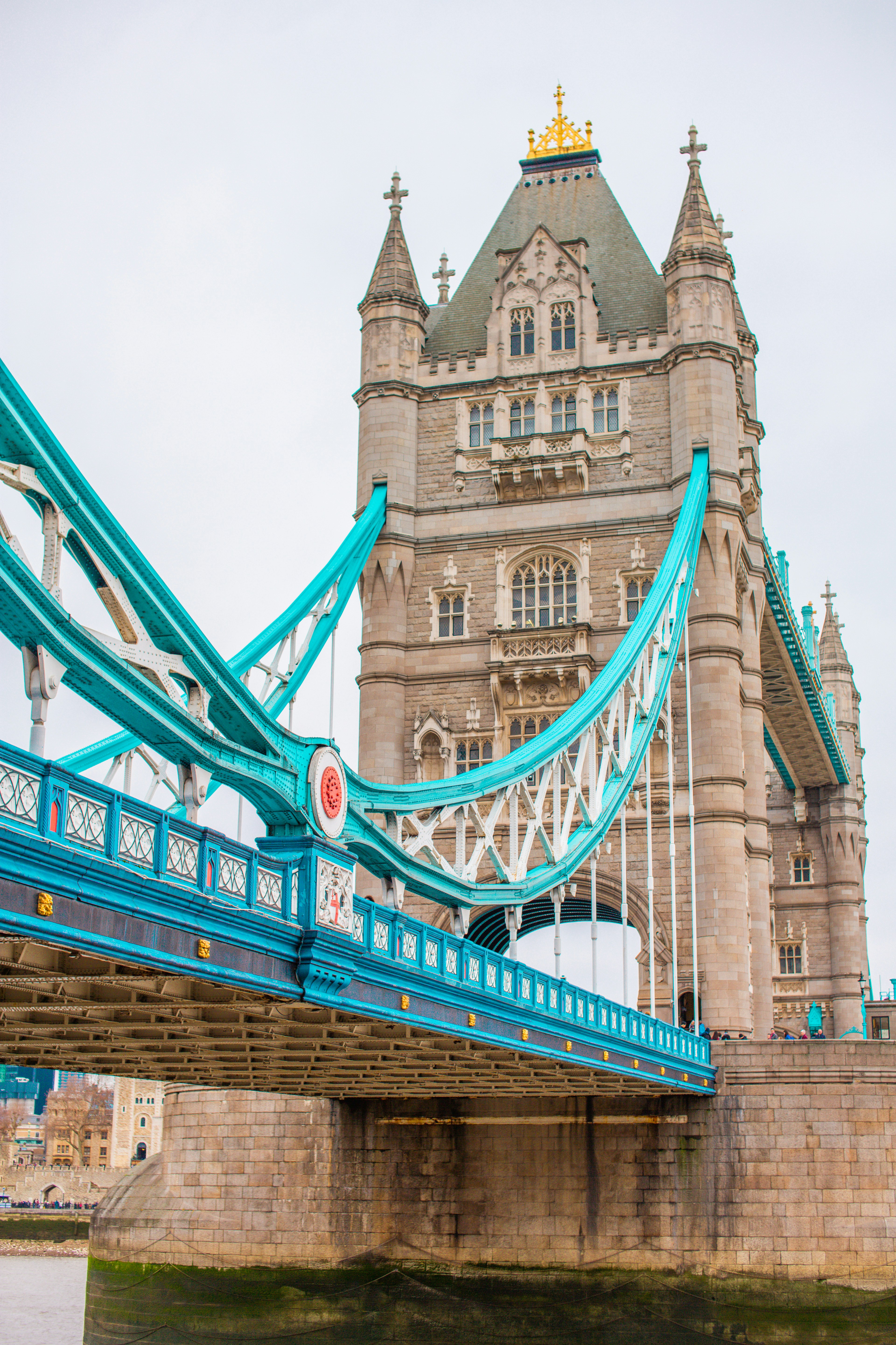 Photo by courtneymcook