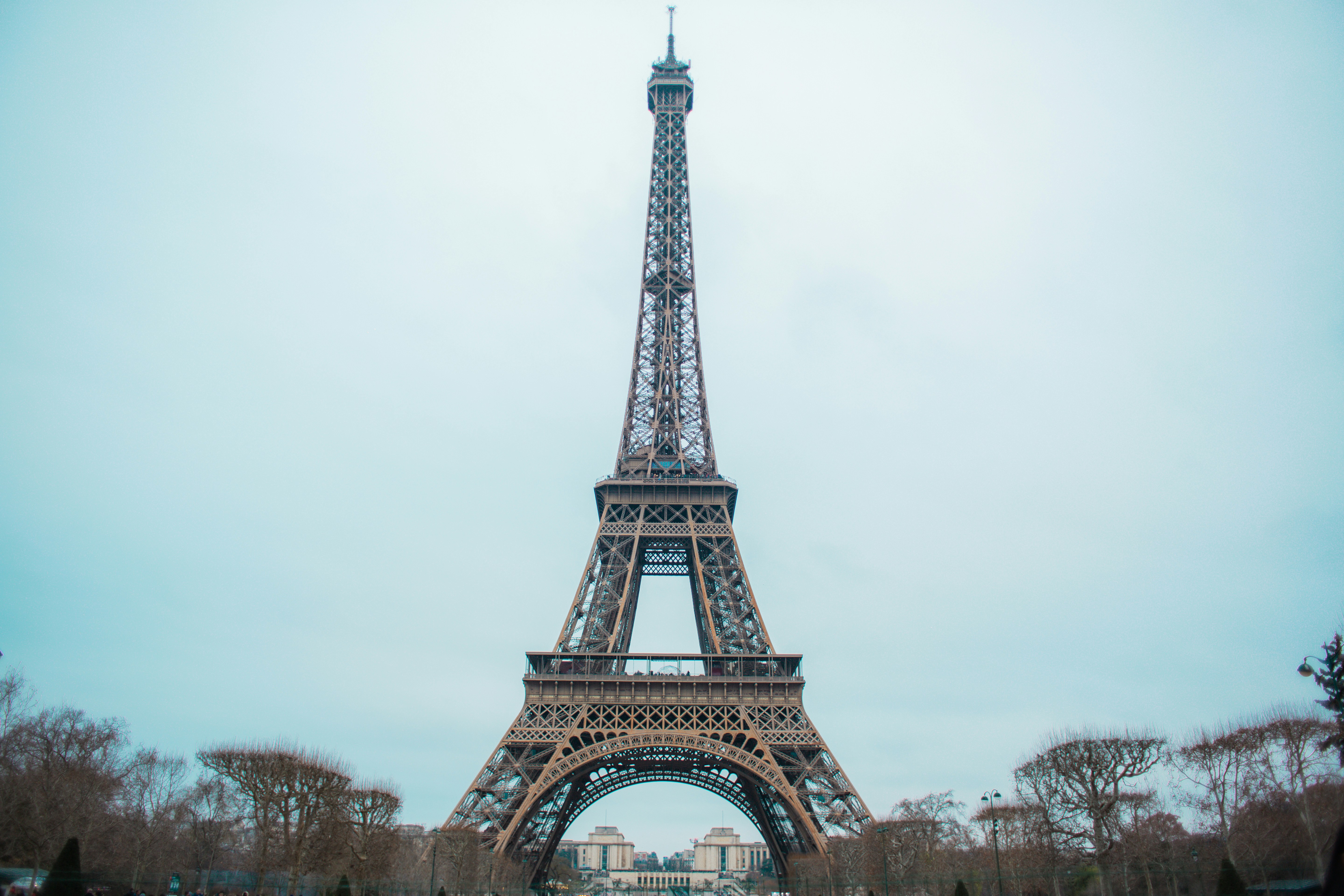 Photo by courtneymcook