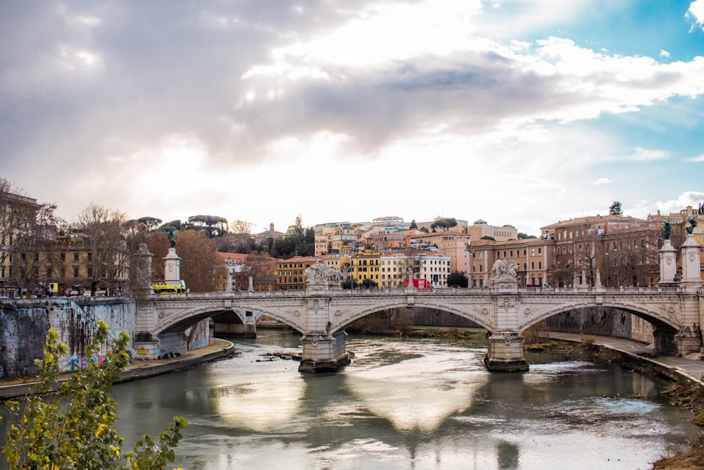 white concrete bridge during daytime