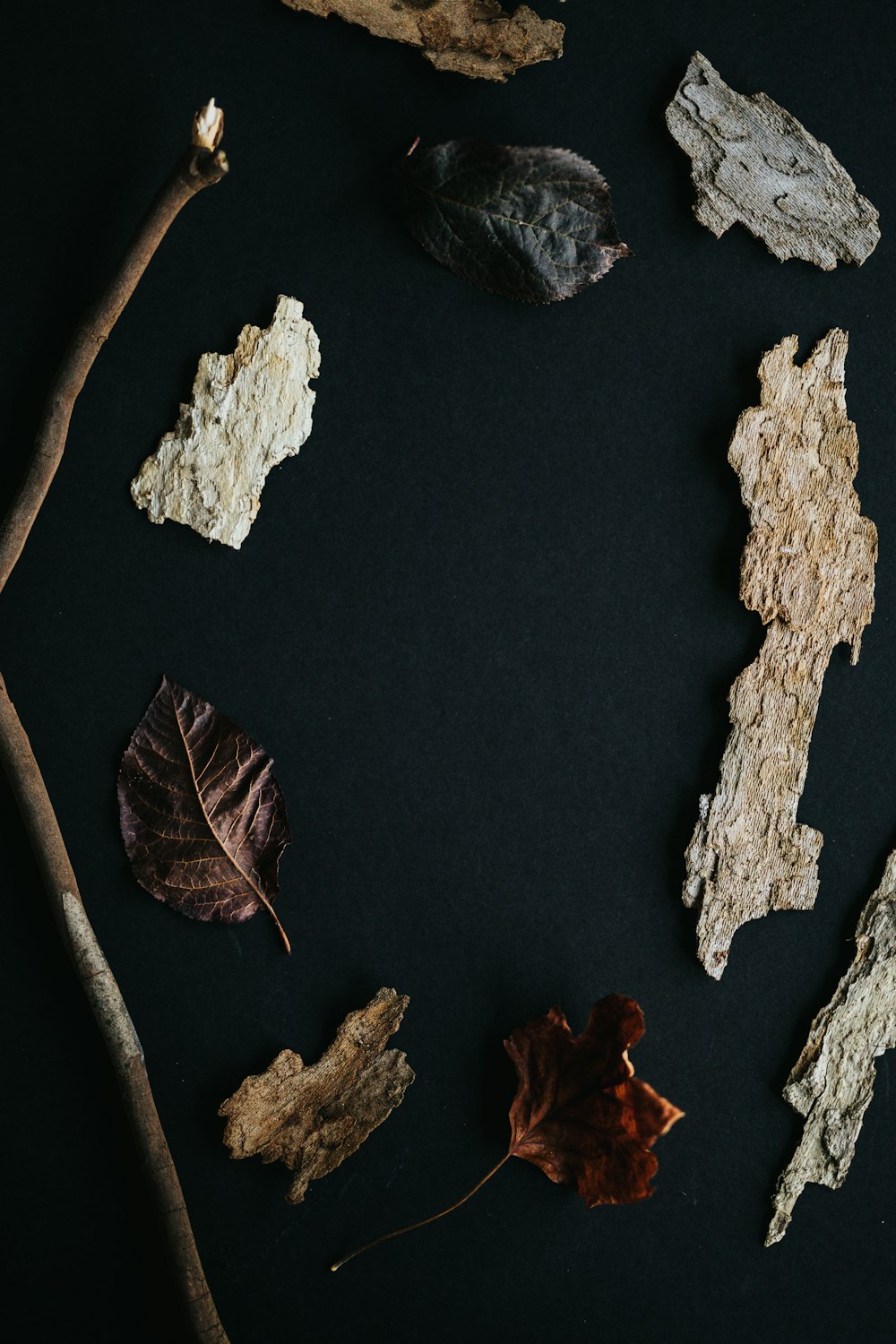 dried leaves on brown surface