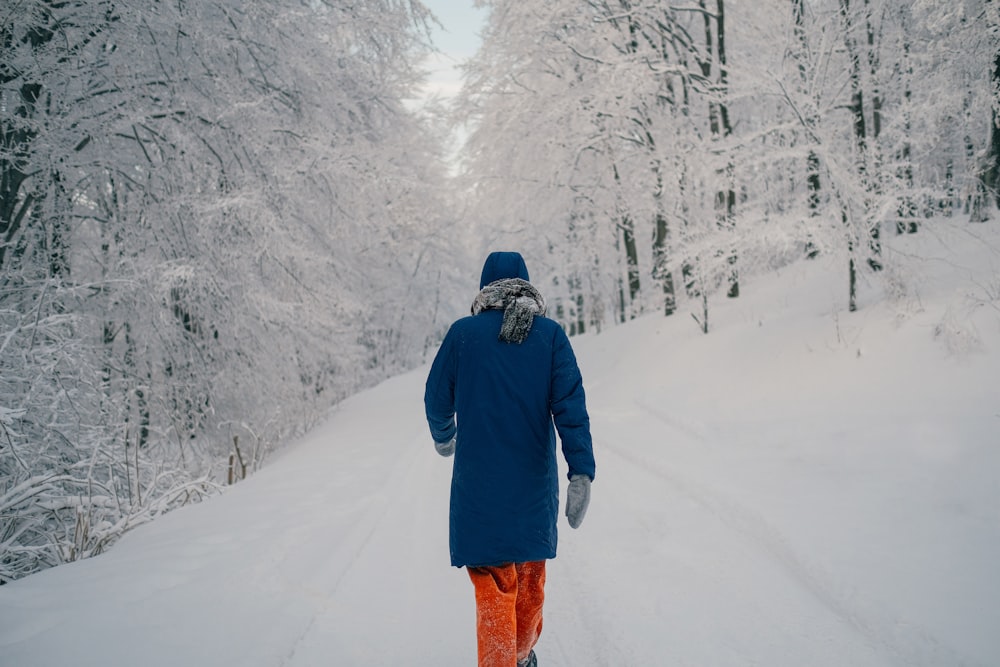 person walking beside snow covered trees