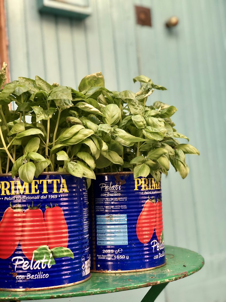 Canned Tomatoes