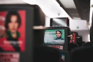 posters on back seats