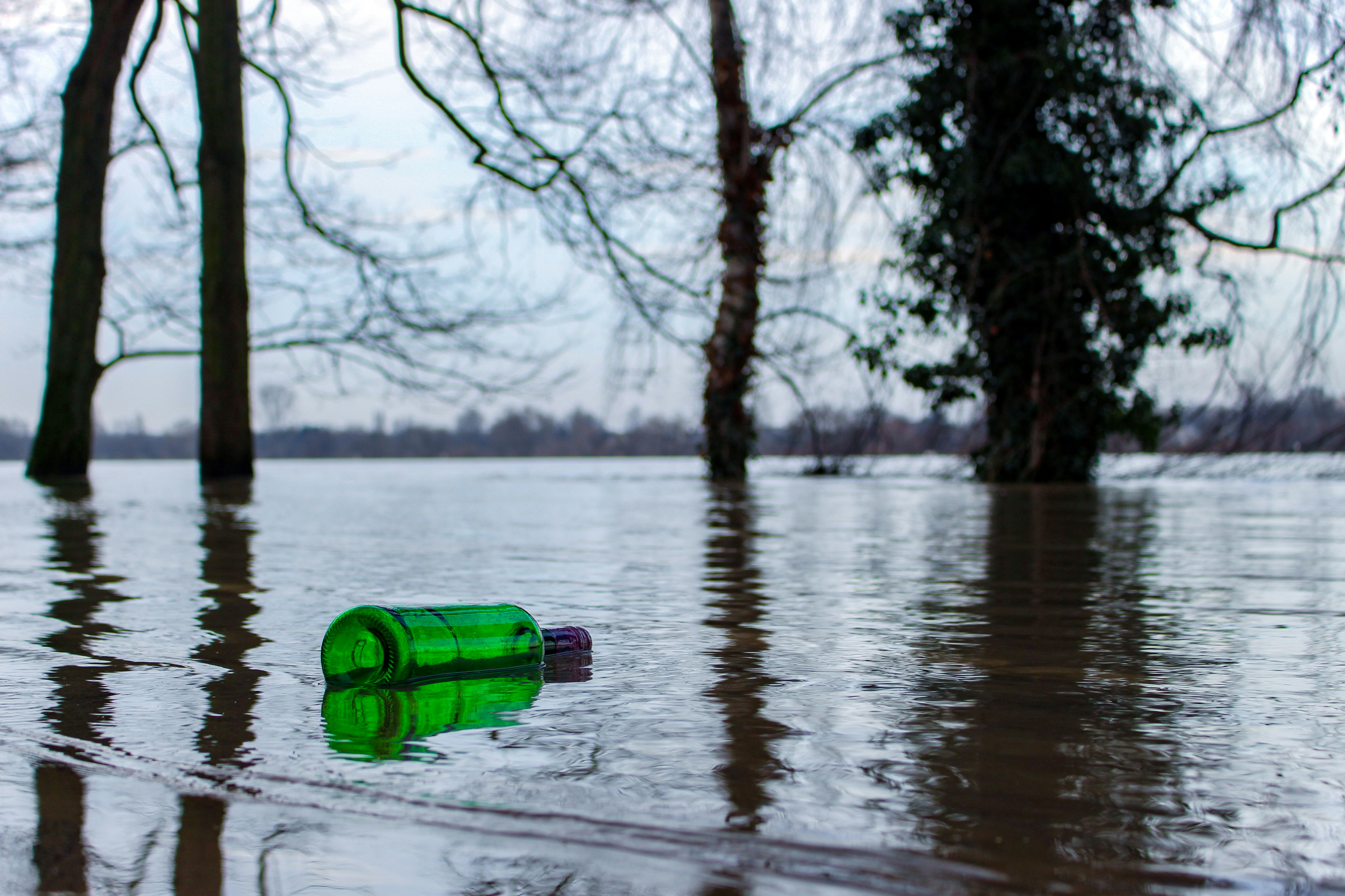 empty green bottle floats on calm water