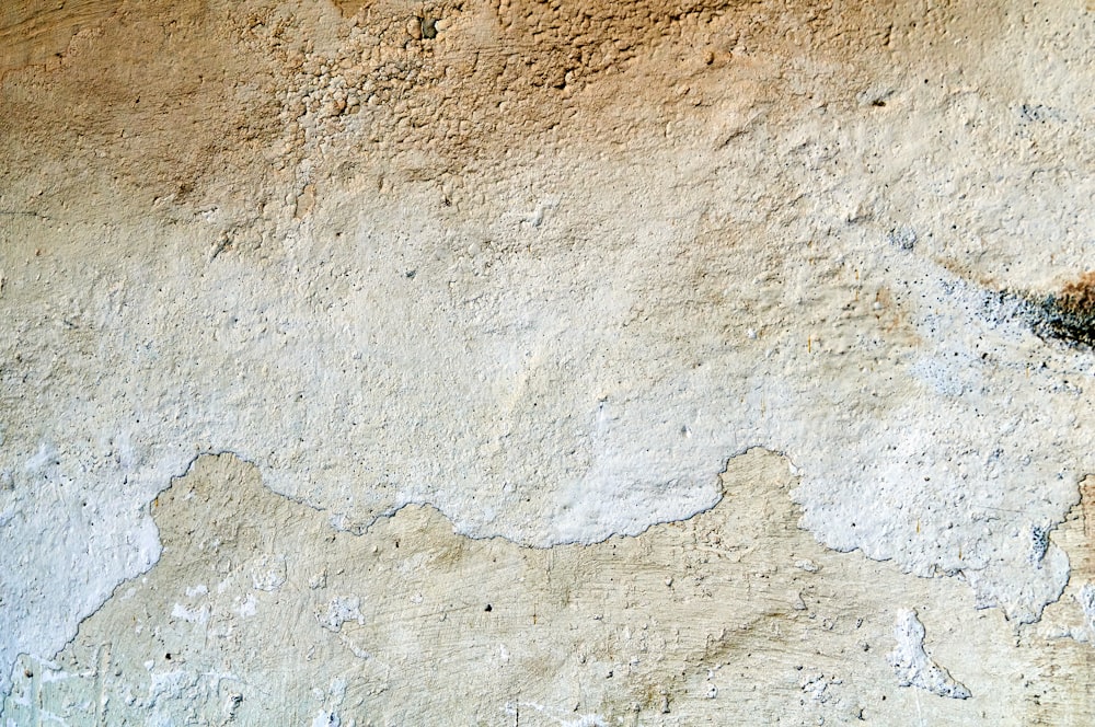 parede de concreto cinza