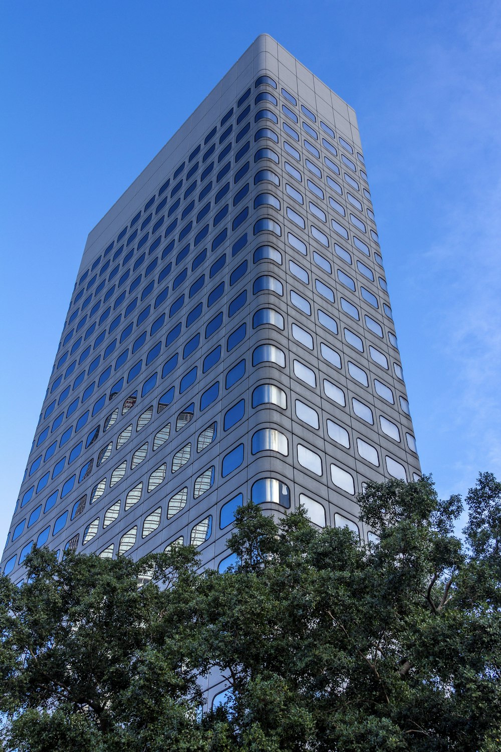 커튼월 건물의 로우 앵글 사진