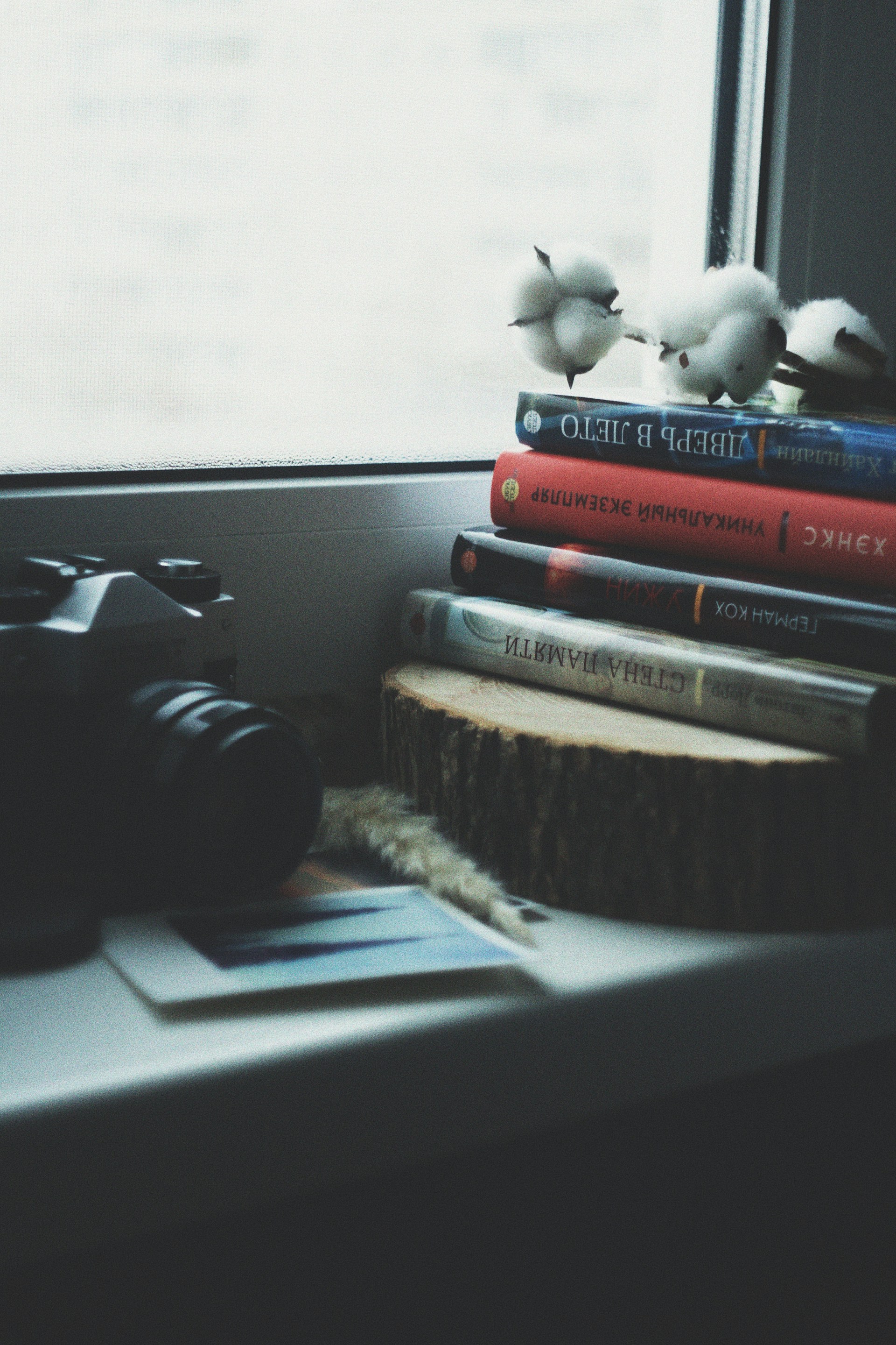 A sunlit window sill adorned with a stack of fashion magazines, a ceramic mug, and a sprig of dried flowers, capturing a calm, stylish moment.