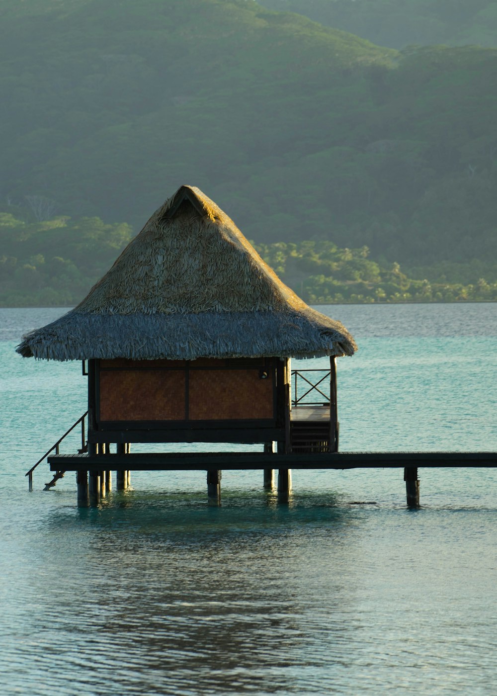 brown wooden house