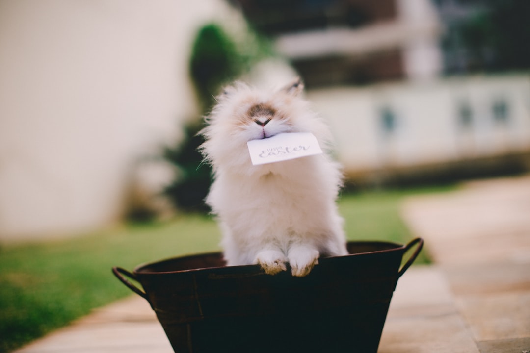 white animal biting paper in bucket
