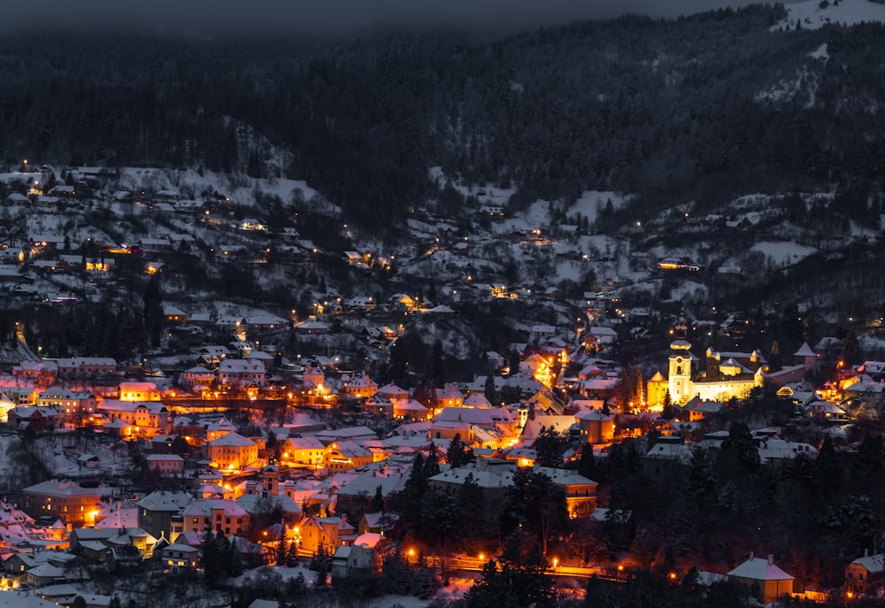 aerial view of village