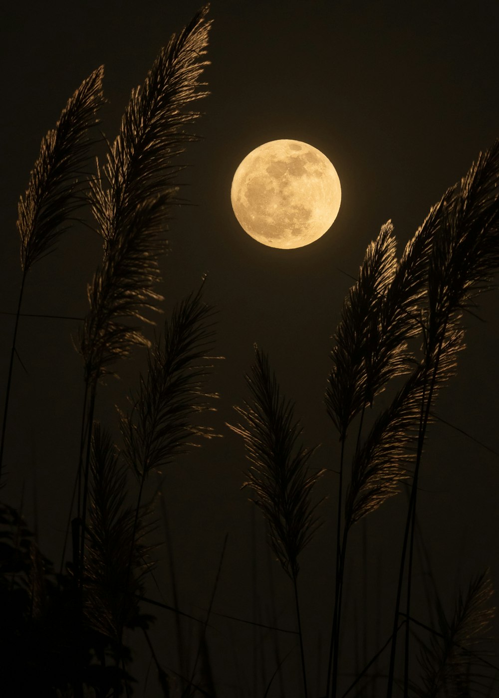 Descubra 48 fotos de la luna para fondo de pantalla