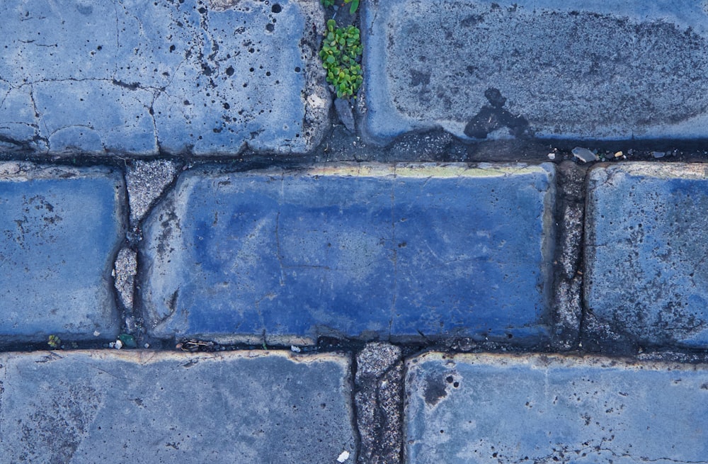 close-up photography of blue concrete wall bricks