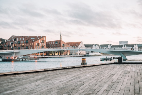 white bridge during daytime