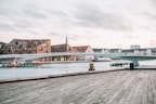 white bridge during daytime