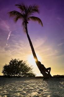 woman leaning on palm tree during daytime