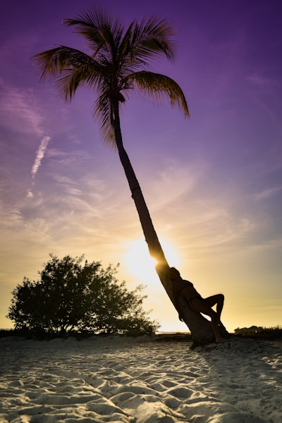 woman leaning on palm tree during daytime