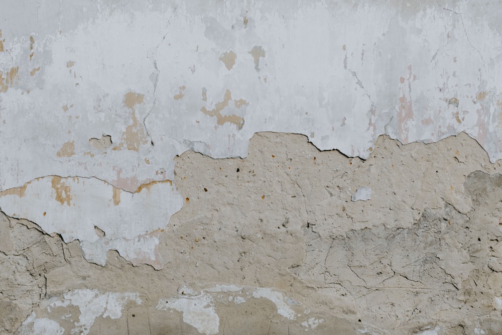 a bird is perched on a wall with peeling paint