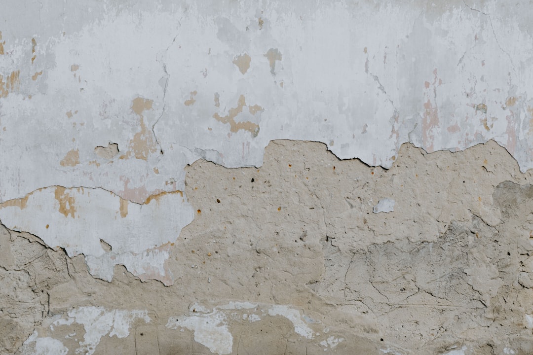 a bird is perched on a wall with peeling paint,