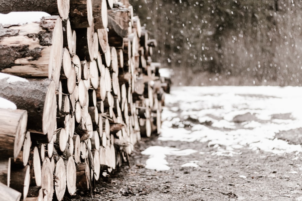 pile of logs