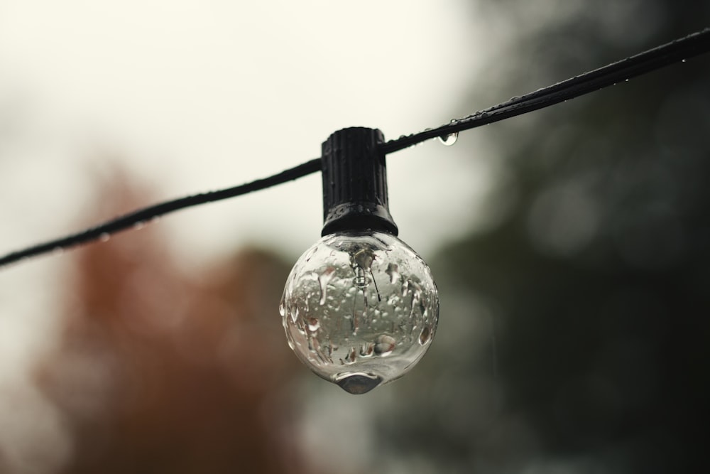 selective focus photography of light bulb