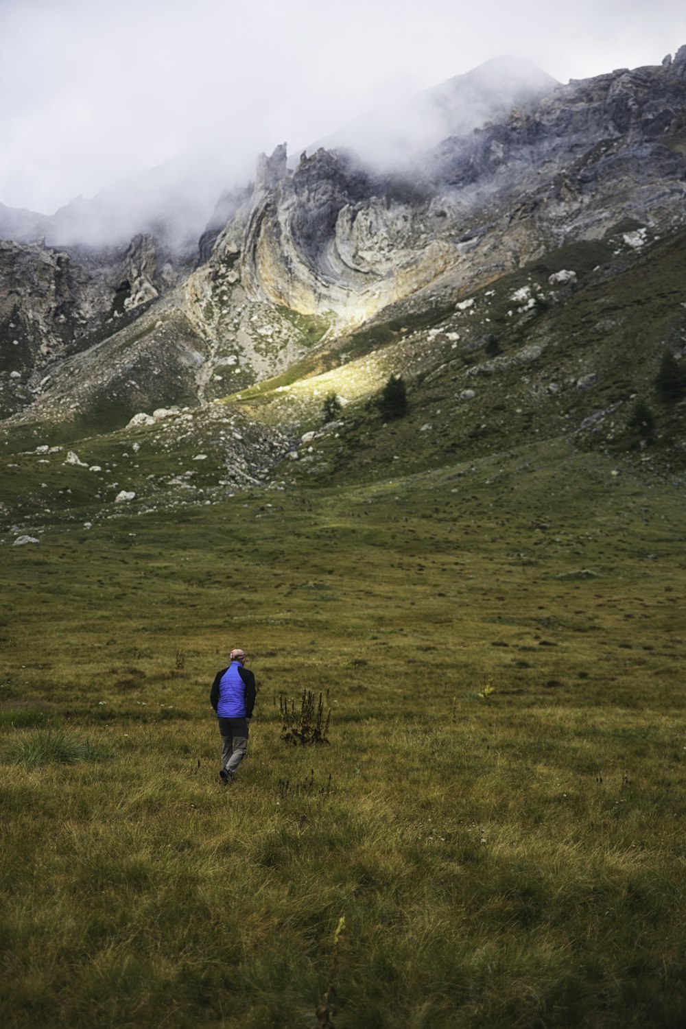 person walking on green grass field