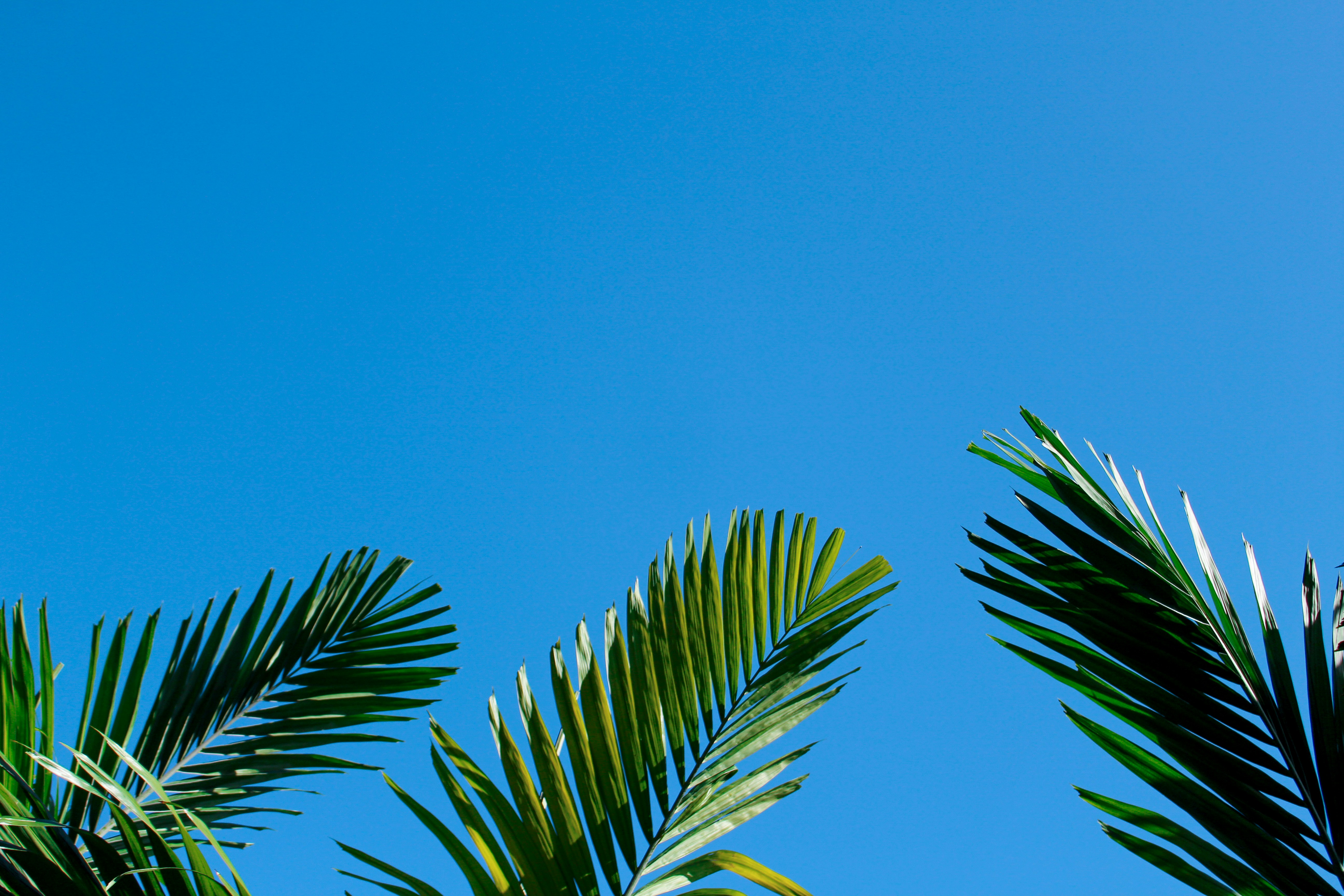 Maduro's U.S. Court Appearance Rattles Global Markets