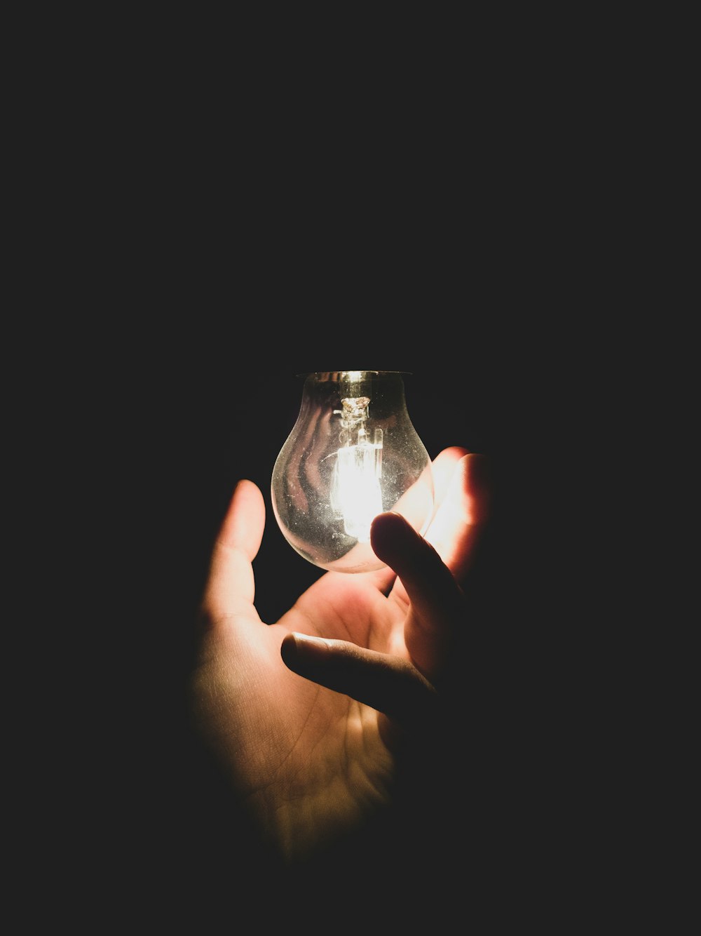 person holding turned-on light bulb