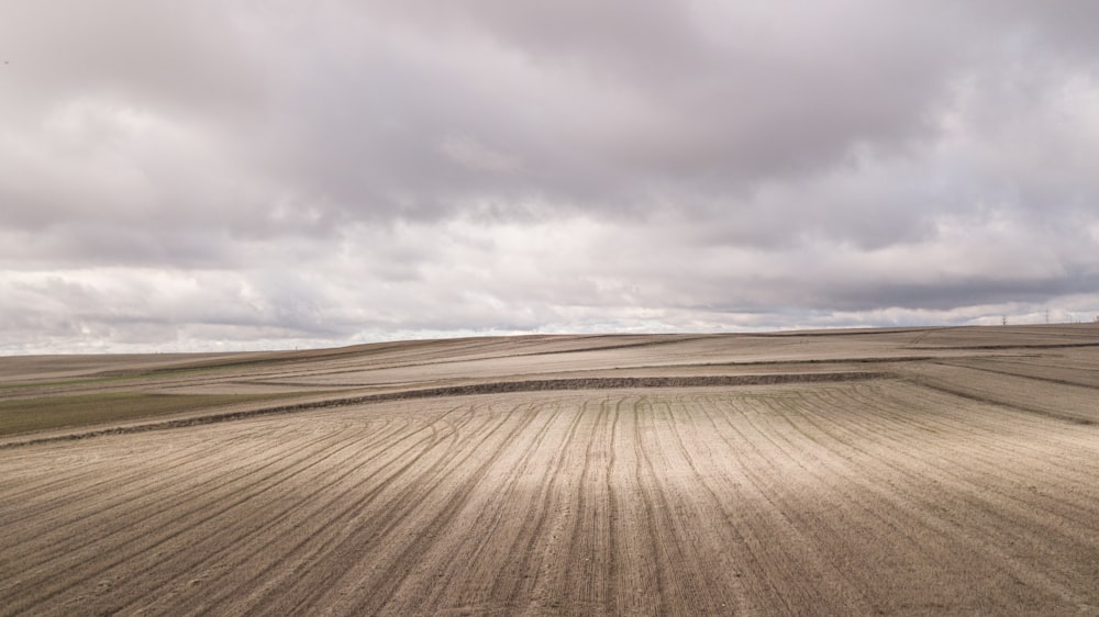 brown soil