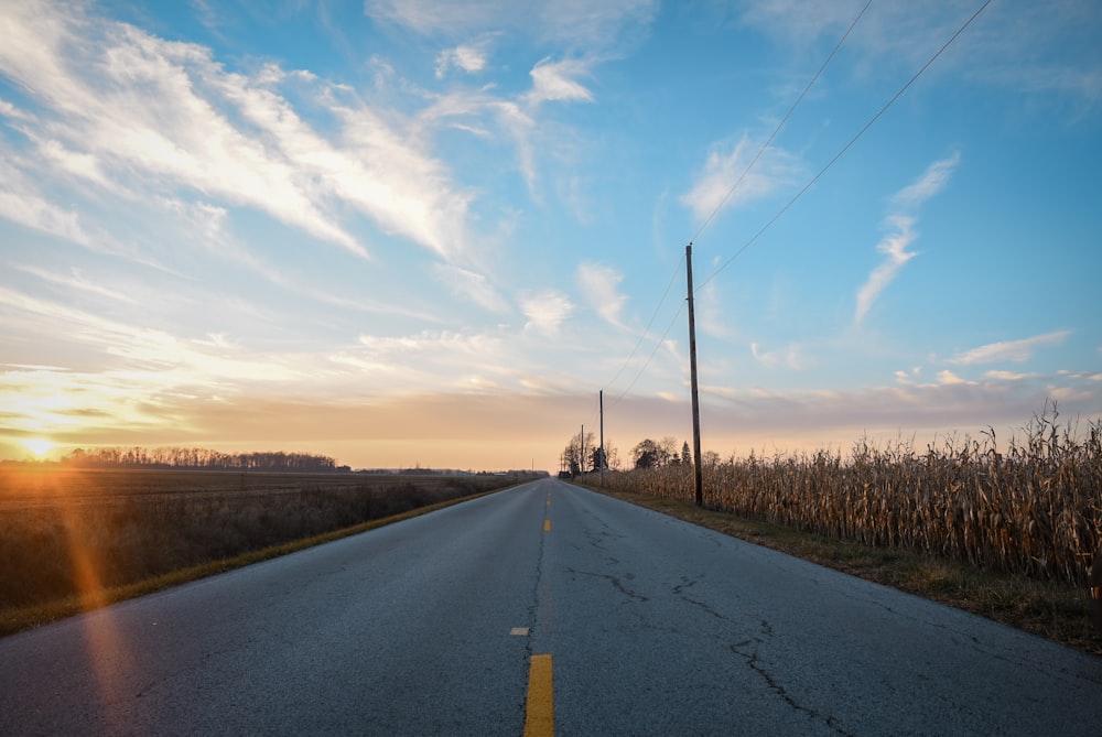 road between grass field under white sky