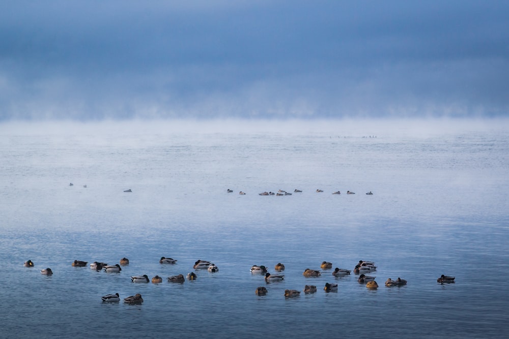 gray stones on shore during daytime