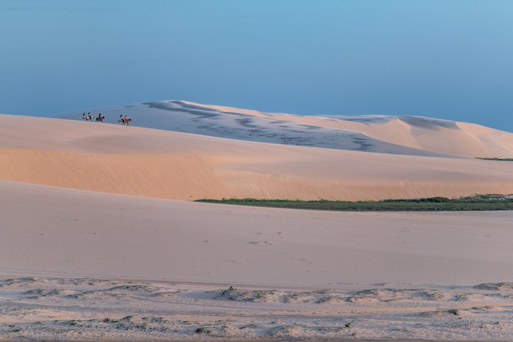 Pessoas e animais caminhando sobre dunas de areia durante a hora dourada