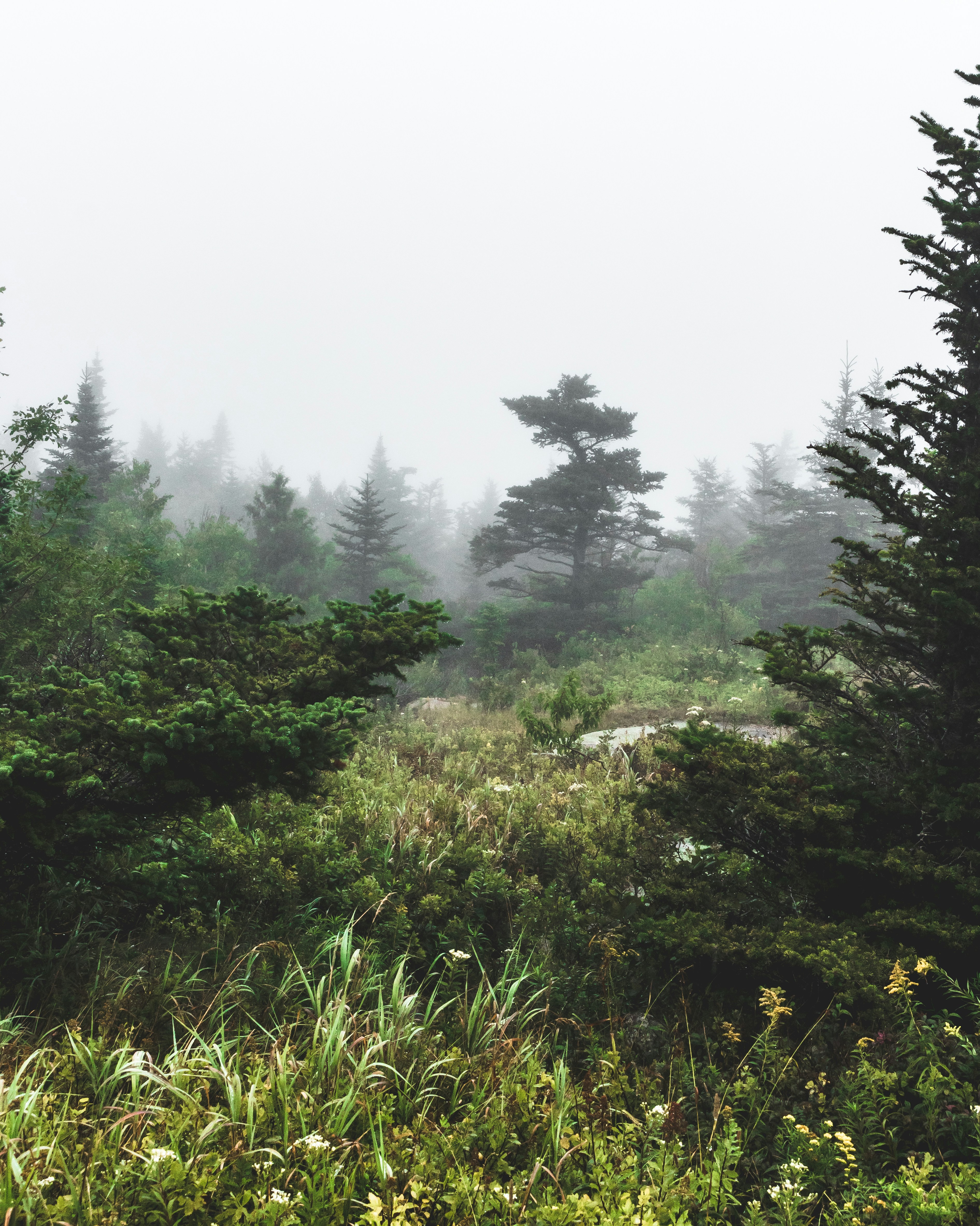 Photo by jackward