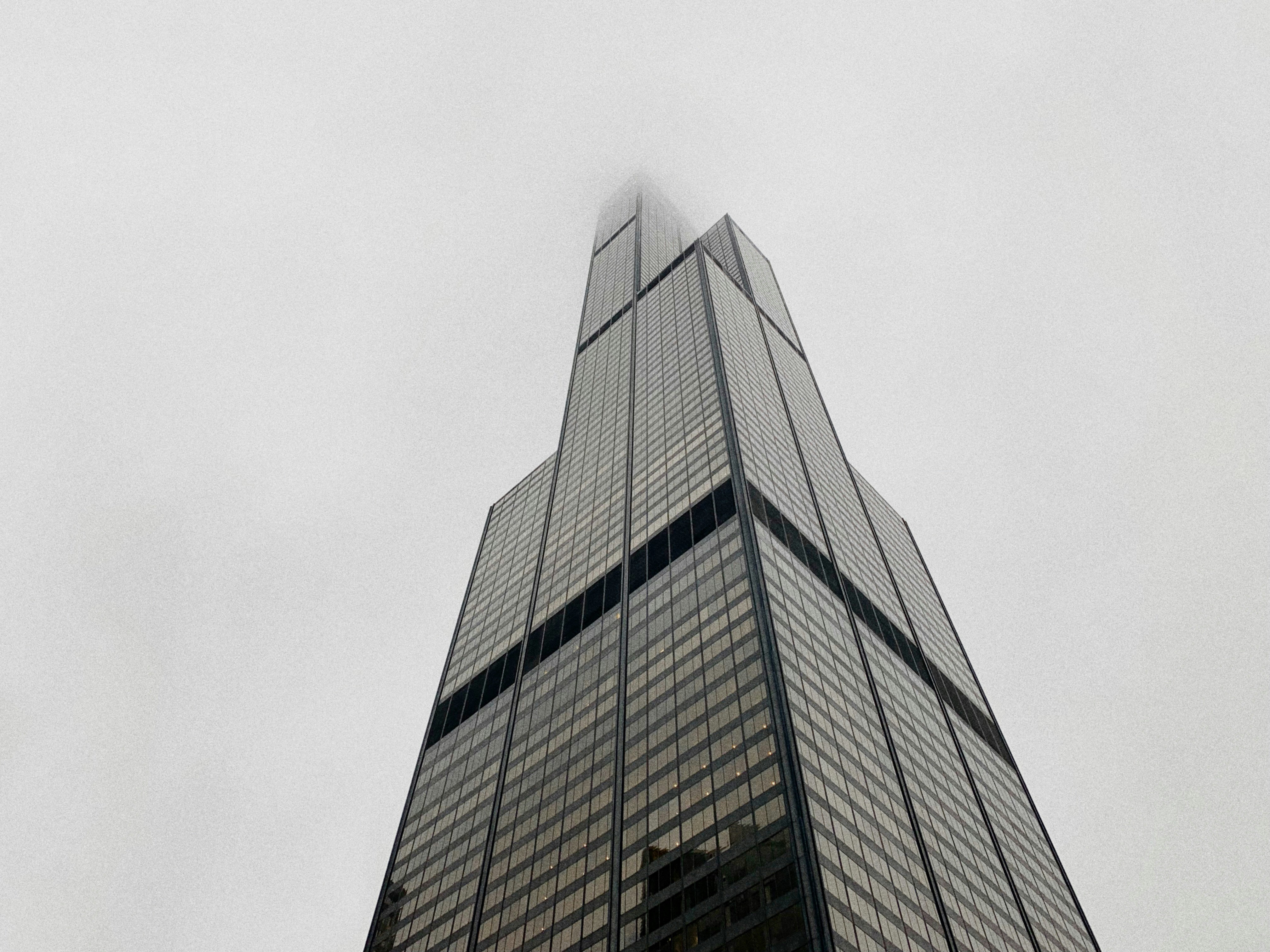 wormview photo of black building