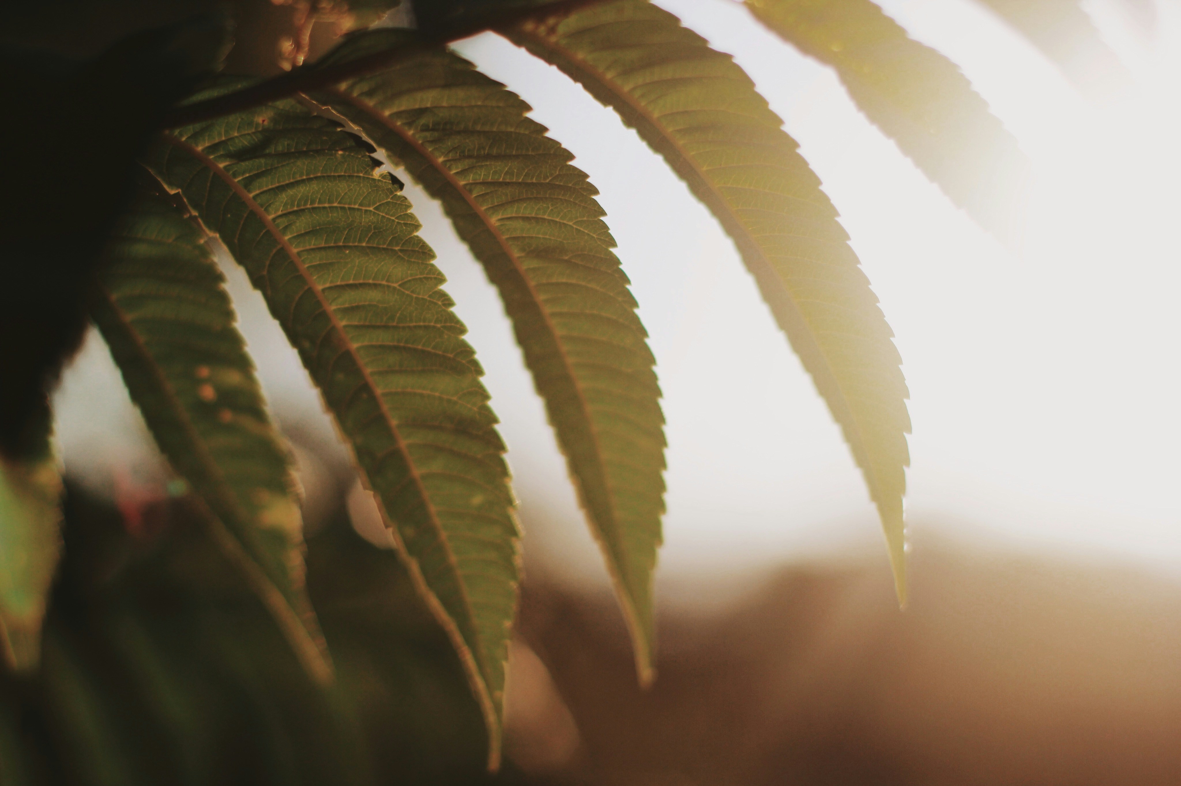 Photo by jacksondouglas