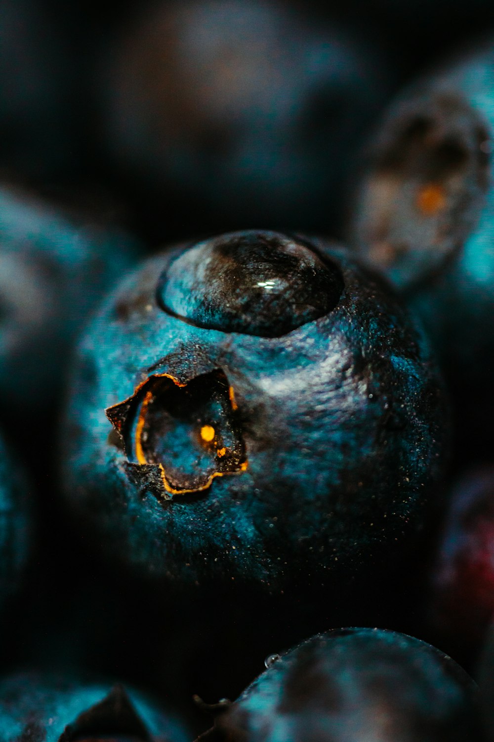 water drop on blueberry