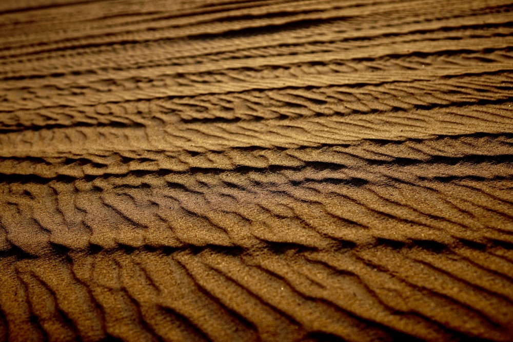 brown sand field
