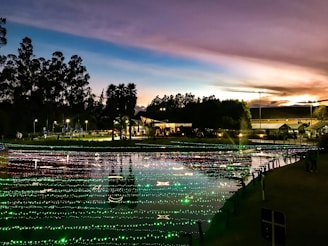 Colorful street lamps glowing vibrantly at dusk in a modern city park