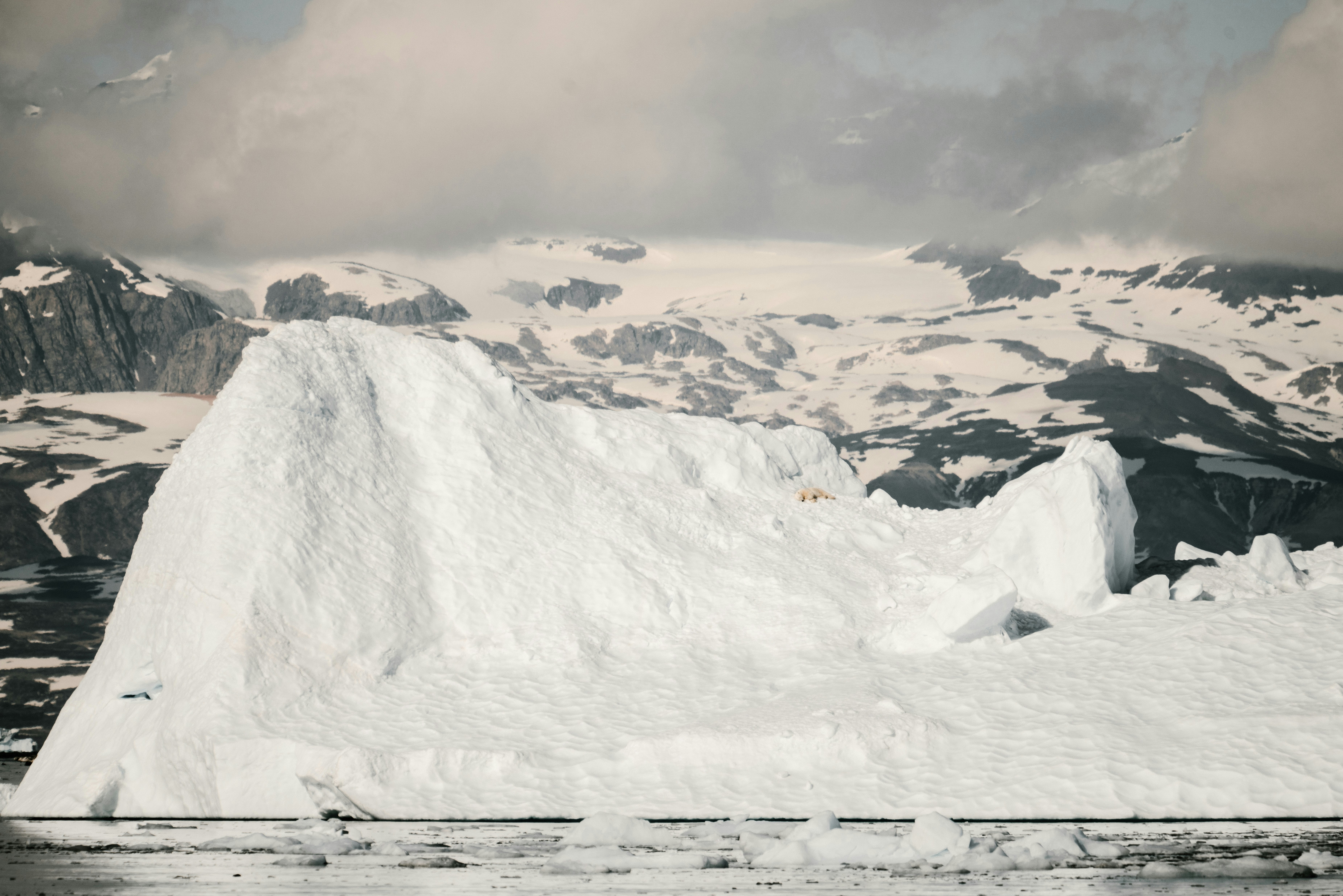 Photo by anniespratt