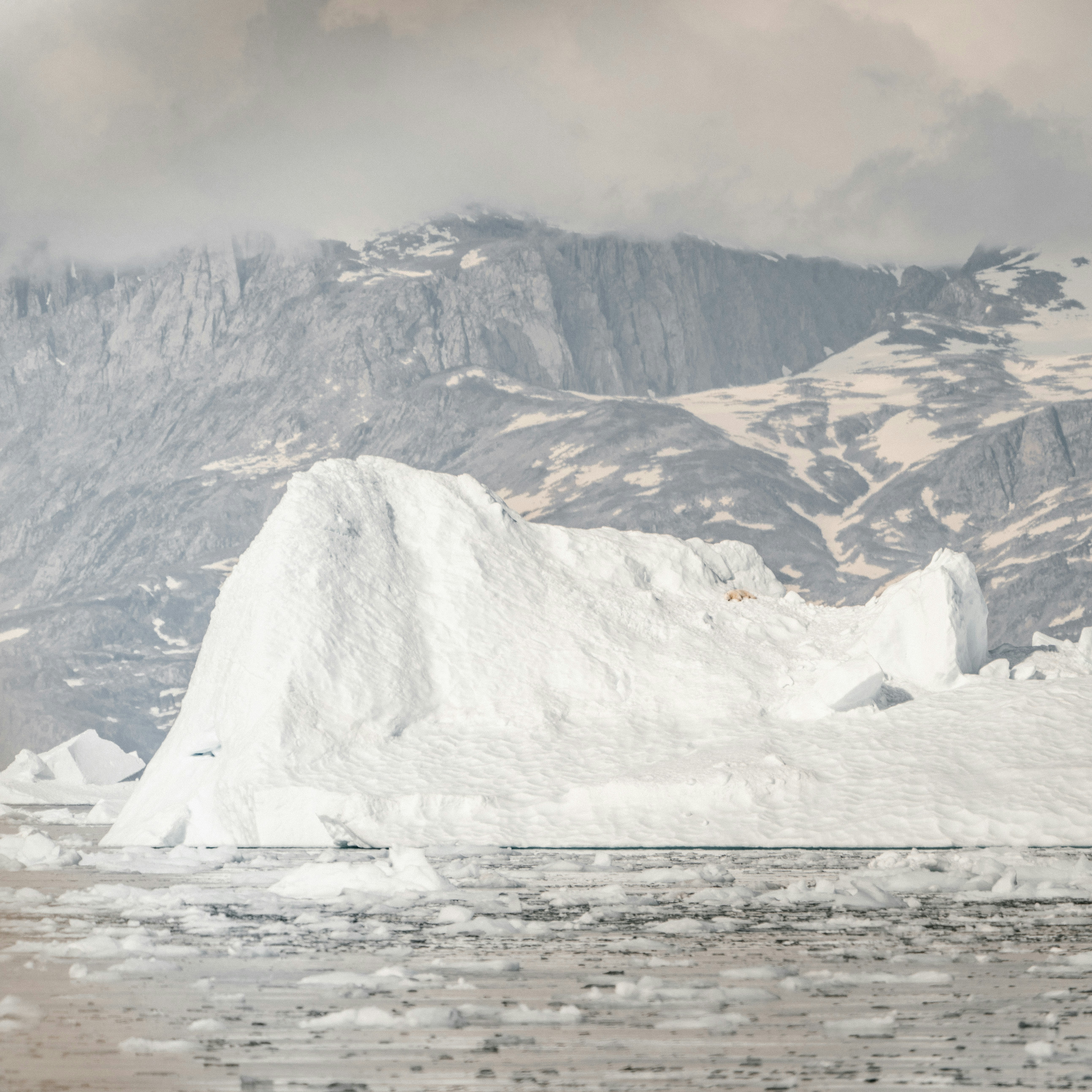 Photo by anniespratt