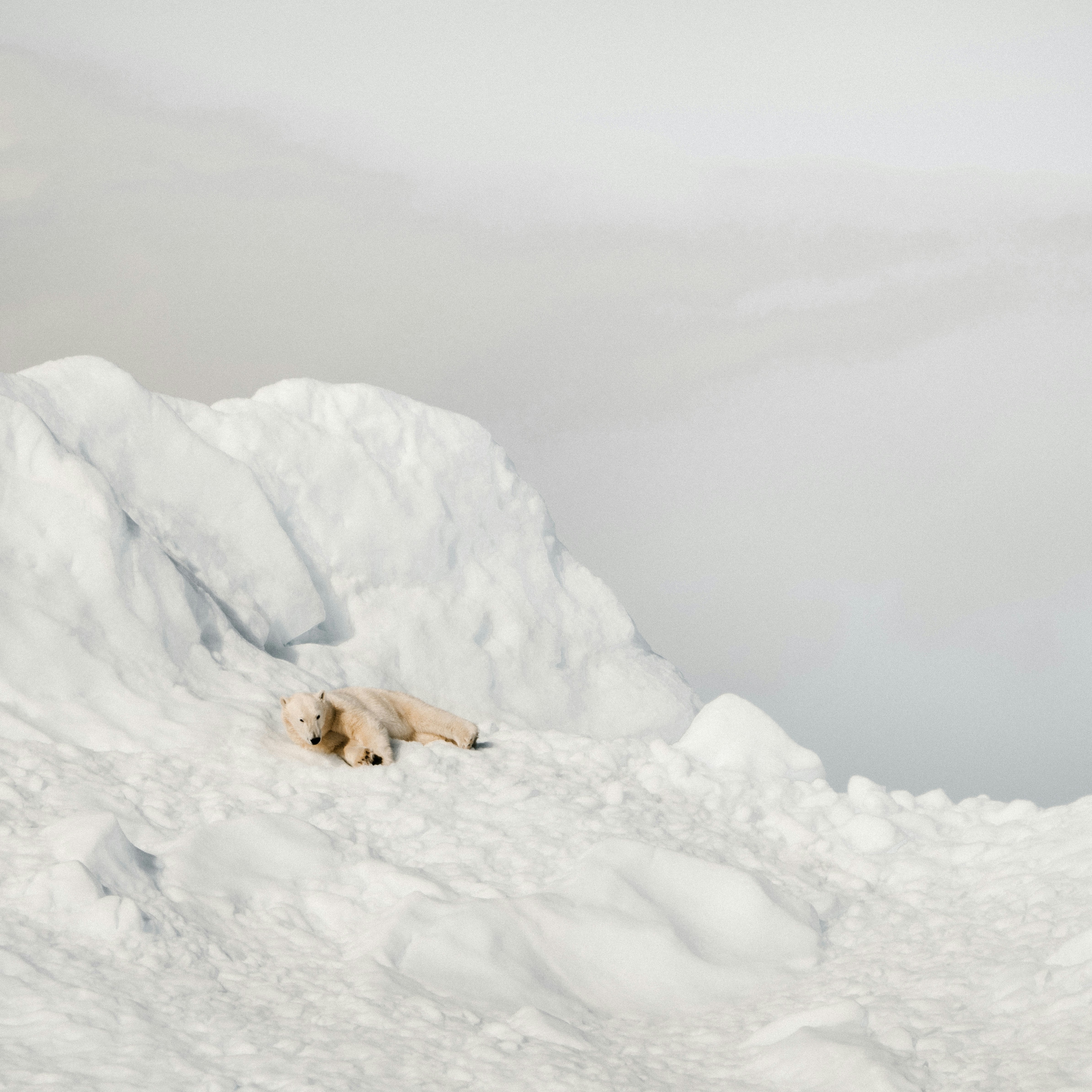 Photo by anniespratt