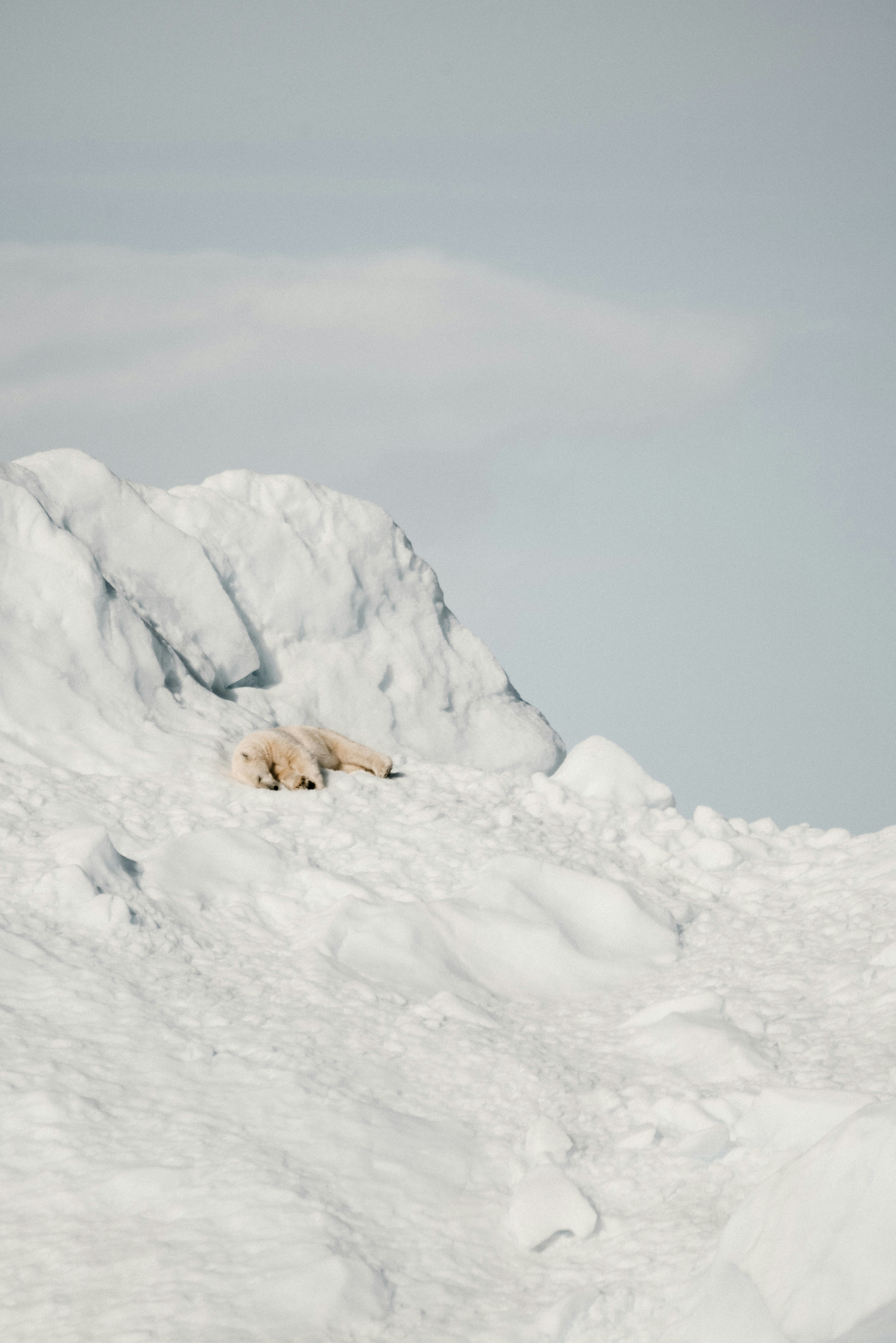 Photo by anniespratt