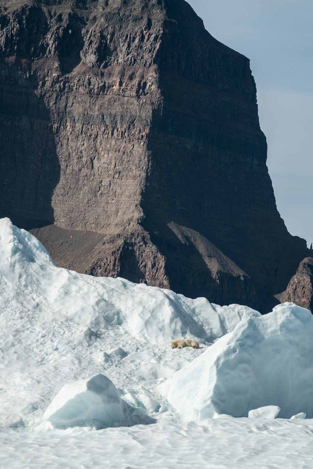 bear on iceberg beside rock formation