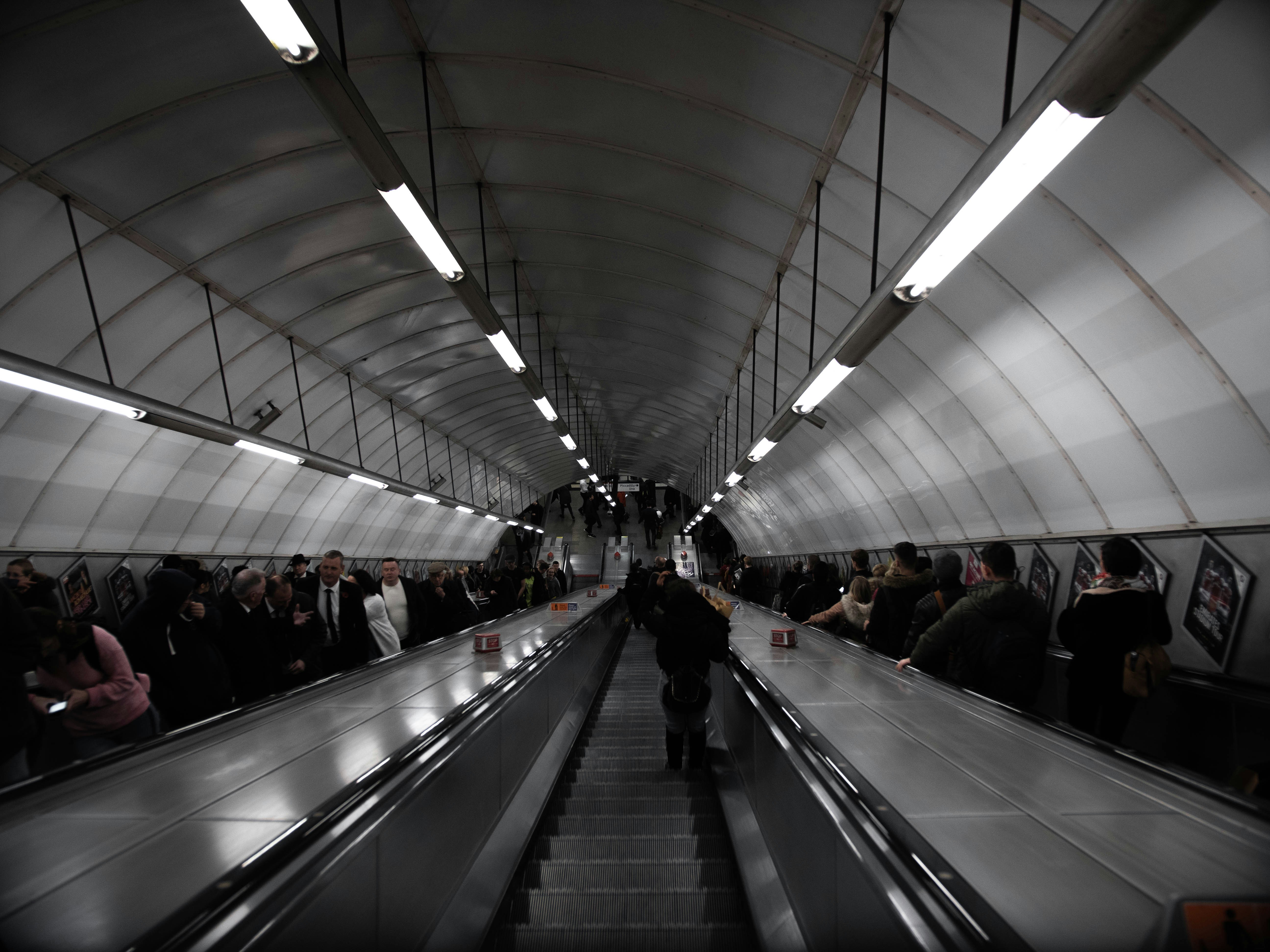 Photo by darabosralph