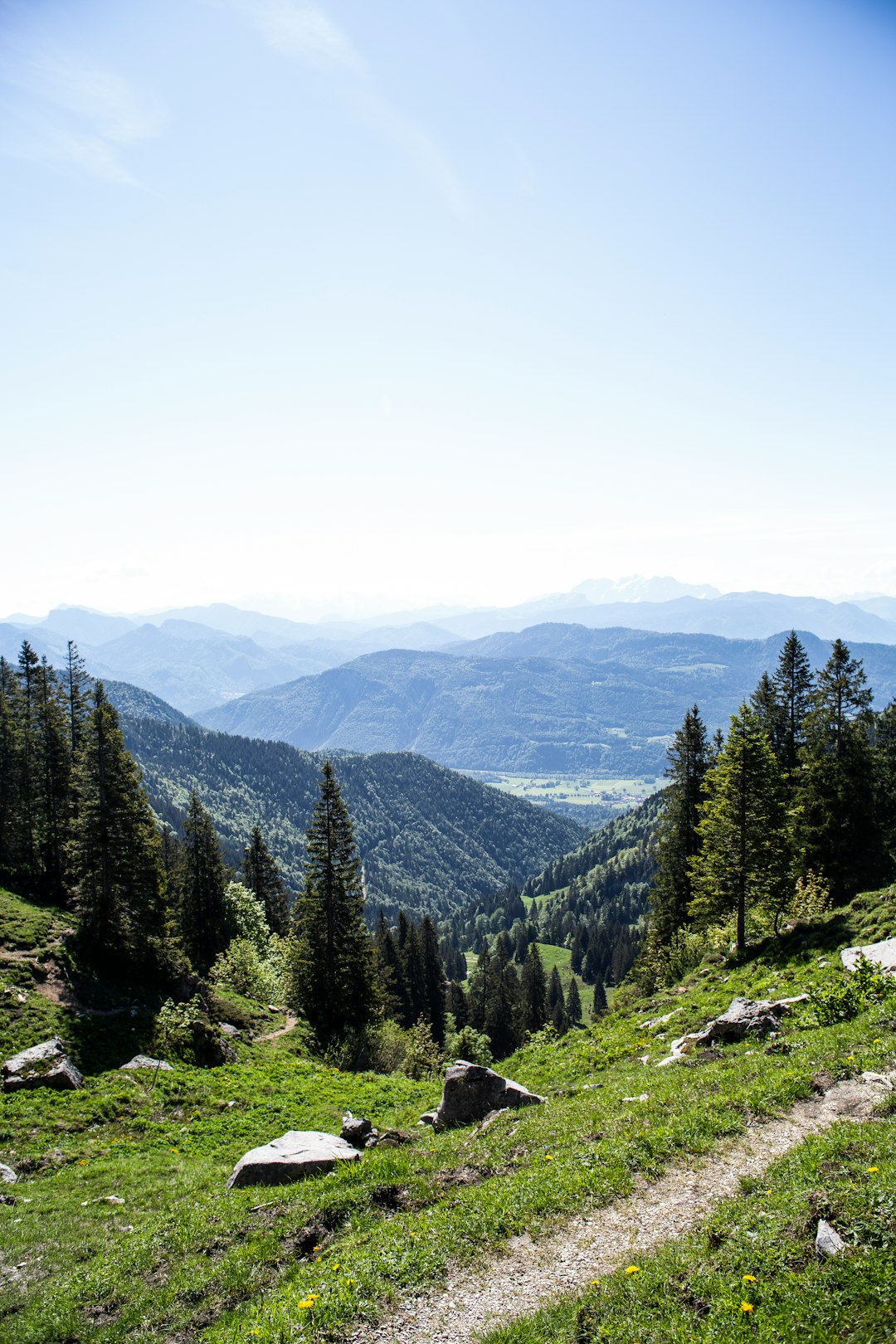 gray rocks on steep hill with trees during daytime