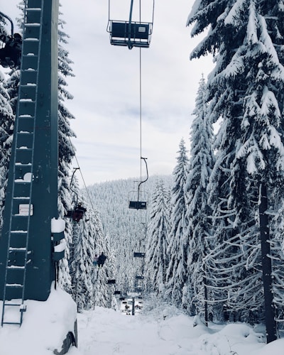 cable cart between trees