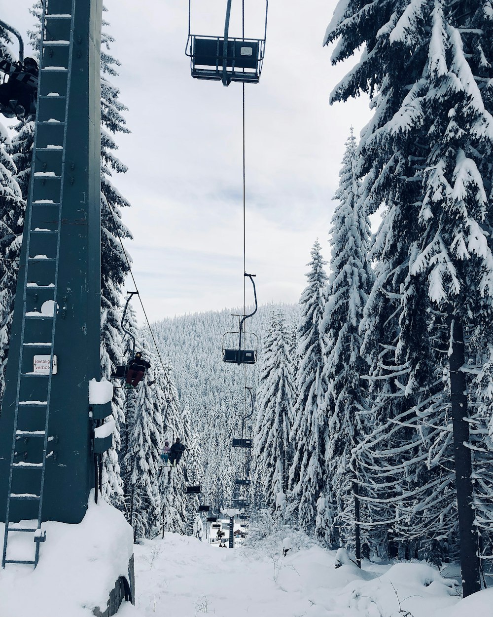 carrello portacavi tra gli alberi