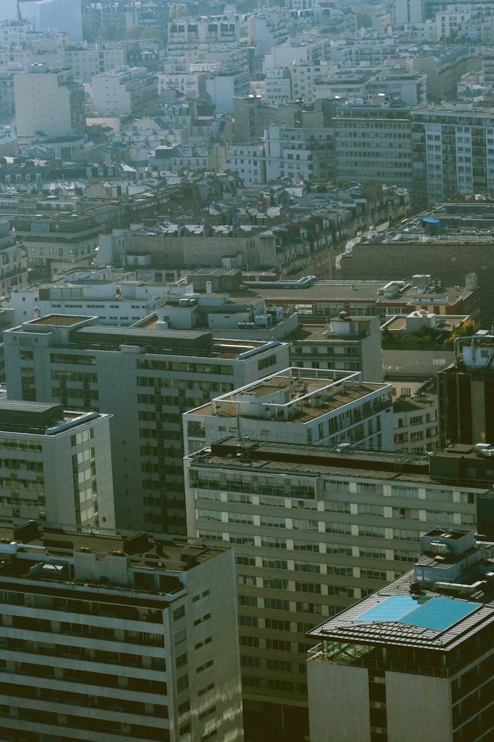 aerial photo of city buildings