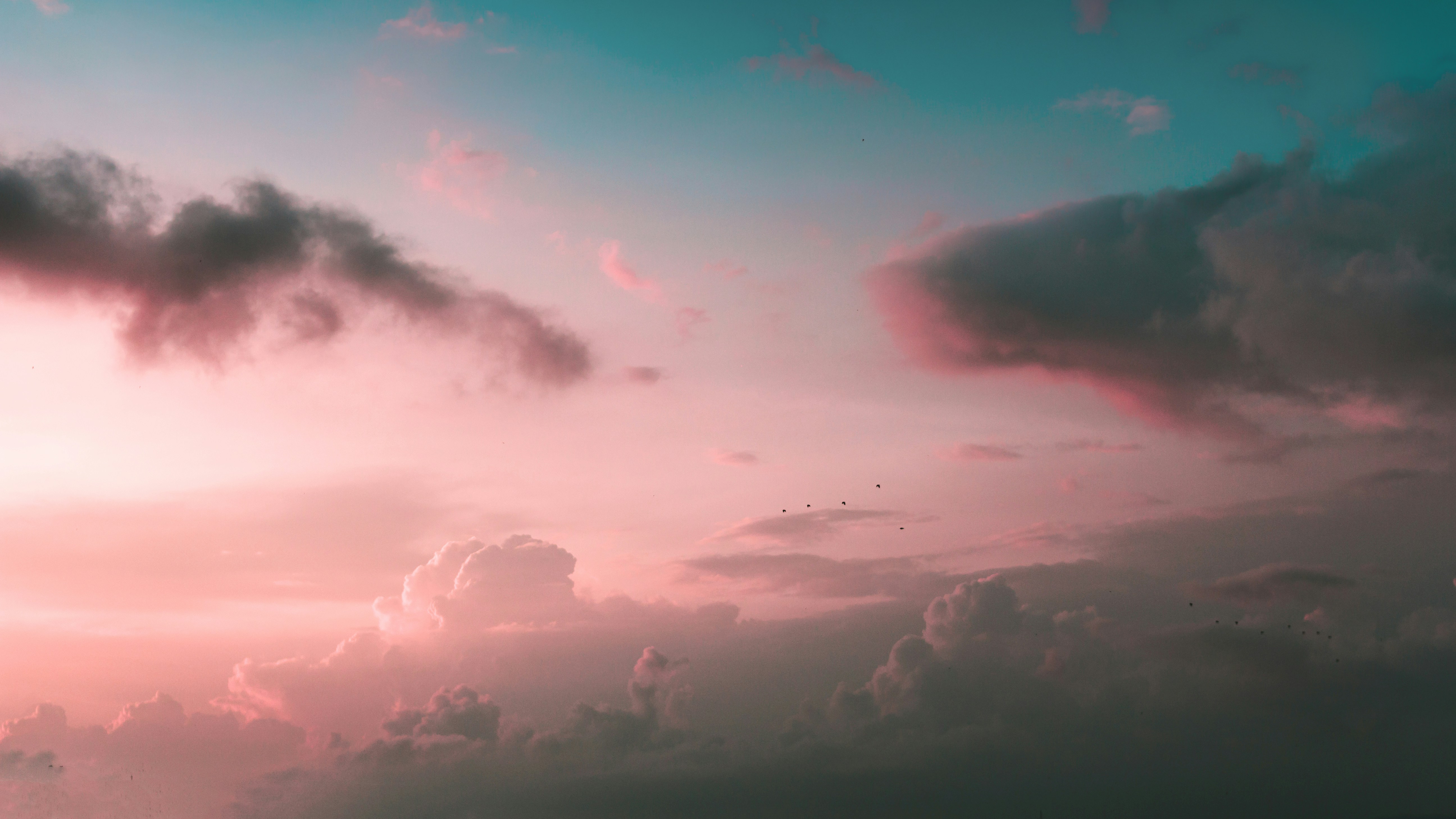 Photo by bagasvg
