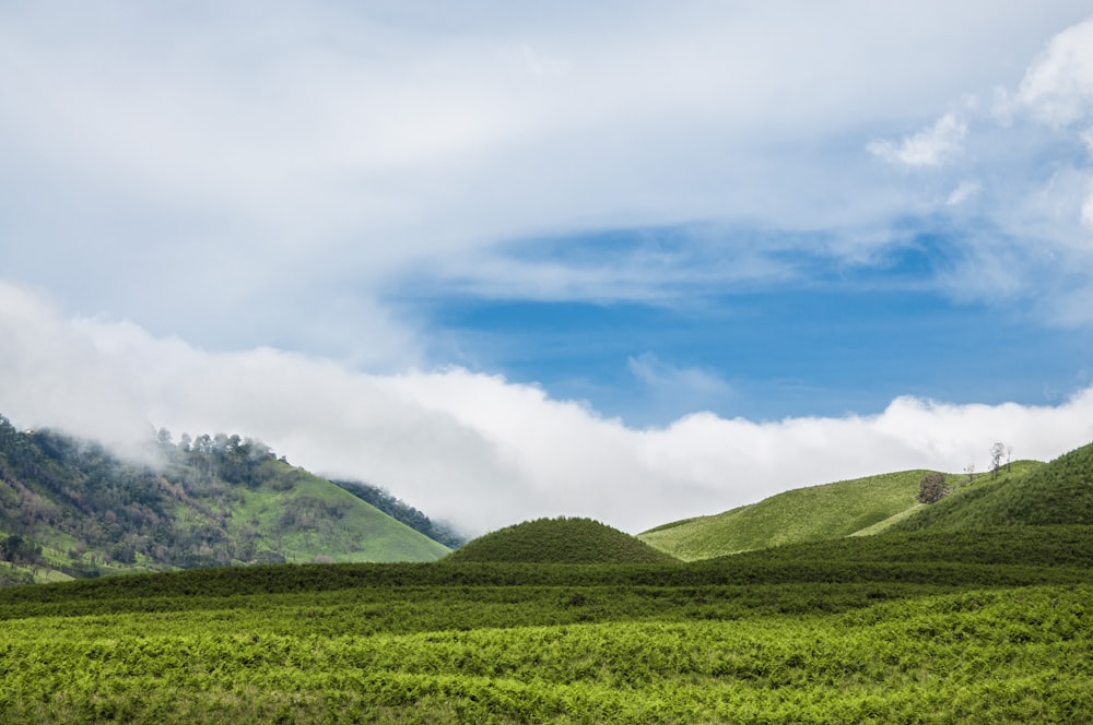 green field with hill during daytime